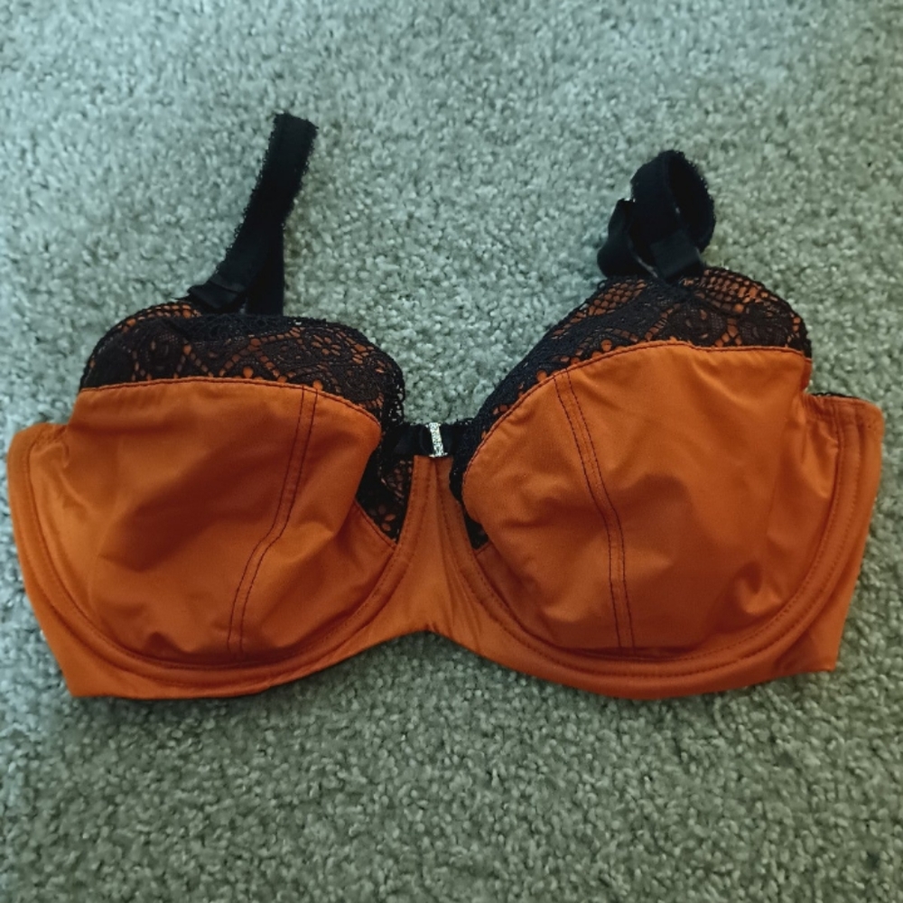 Cake Lingerie 34H Bra